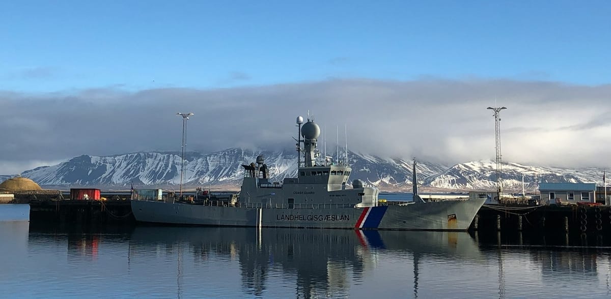 İzlanda için drone savunma sistemi gerekli mi?