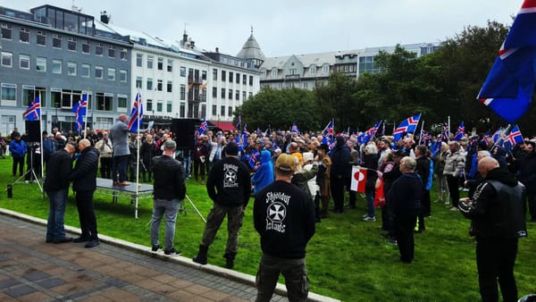 Aşırı sağ, Barış Adası’nda: “İzlanda Kalkanları”