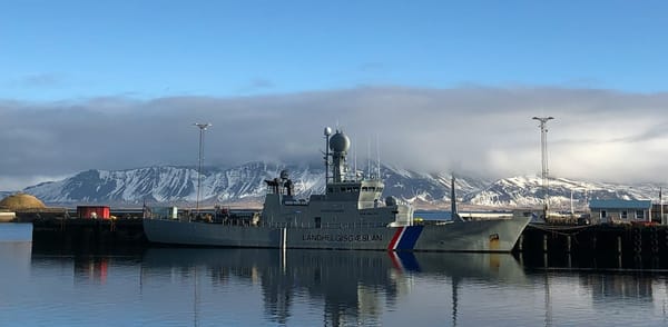 İzlanda için drone savunma sistemi gerekli mi?